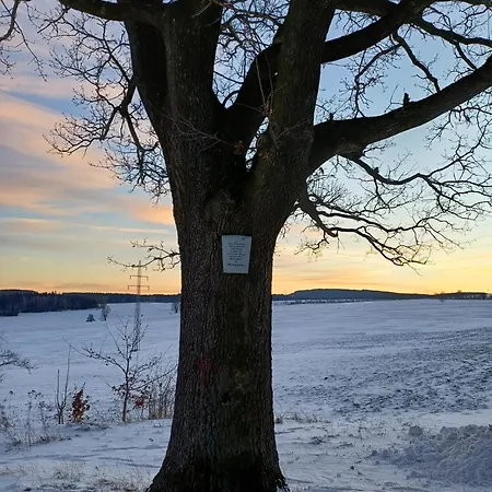 Schwibbogen * Drebach